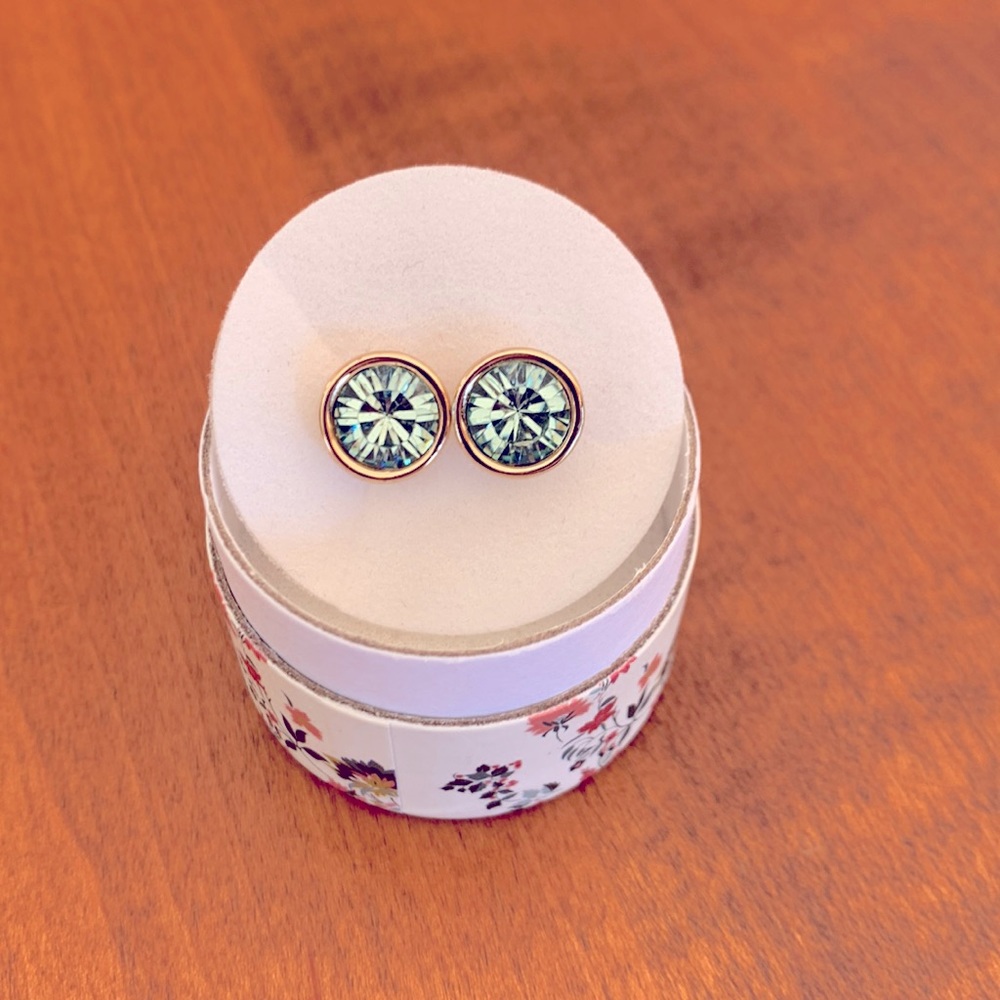 NWT Loft Blue Stone Earrings.
